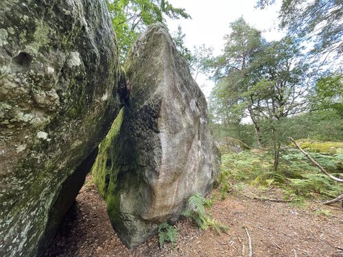 Image of Supersymétrie (7a+)